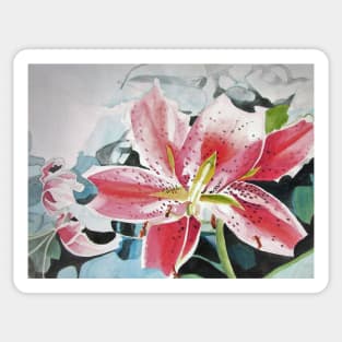 Red Lily Flower Watercolor Painting Sticker